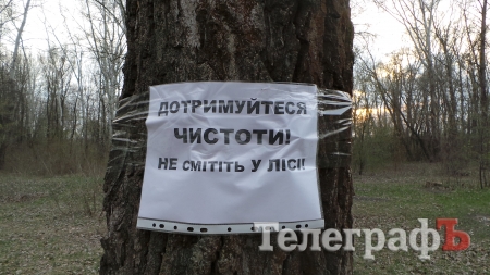 В Крюкове "задышал" лес благодаря уборке от мусора