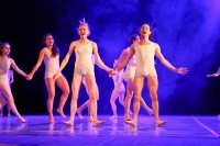 «Говорящий» балет в Кременчуге