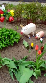 Хорошо поработали! Результаты субботника 25 апреля