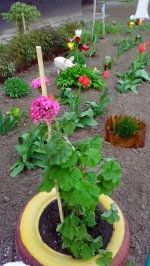 Хорошо поработали! Результаты субботника 25 апреля