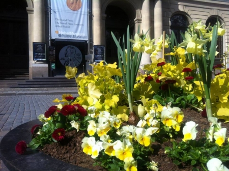 Путешествие с Татьяной Петровой: Стокгольм, Швеция