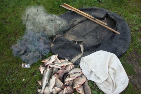 В Автозаводском - браконьерят, в Крюкове - грабят, мошенничают - везде