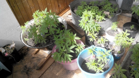 Кременчужанину жёстко обломали кайф