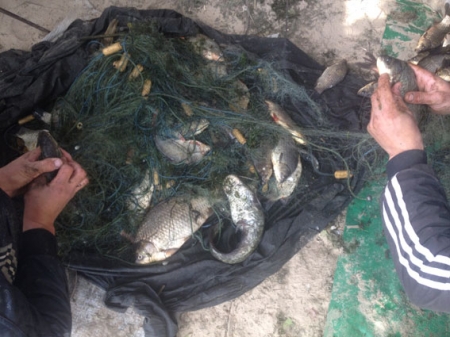 На лодочной станции в Кременчуге поймали двух браконьеров