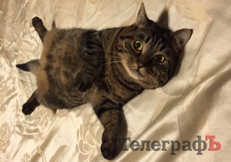 Куда сходить на выходных: гонки, фестиваль, футбол