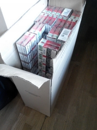 «Я выживу хотя бы ради того, чтобы поклониться вам в ноги...»