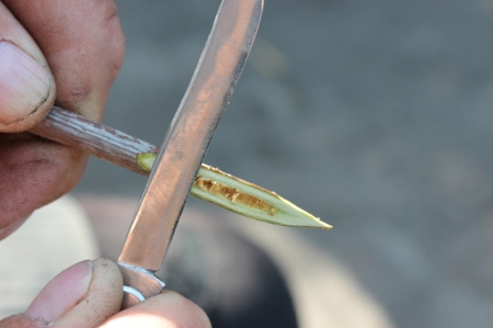 Йому під 90, але садівництво кидати не збирається