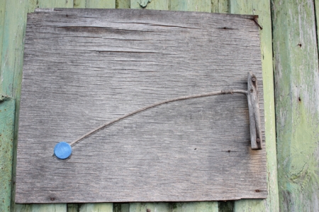 Йому під 90, але садівництво кидати не збирається