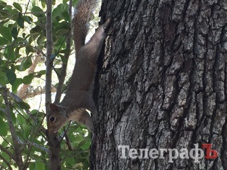 Путешествие с Сергеем Радченко: Майами