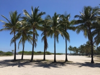 Путешествие с Сергеем Радченко: Майами