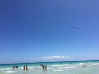 Путешествие с Сергеем Радченко: Майами