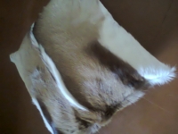 Куда уходят хорошие вещи из секондов