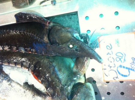 Путешествие с Татьяной Петровой: Прибалтика