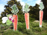 Путешествие с Татьяной Петровой: Прибалтика