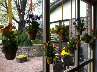 Путешествие с Татьяной Петровой: Прибалтика