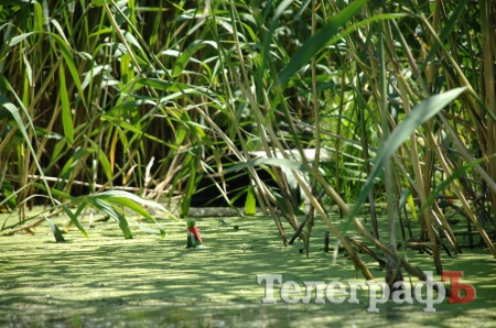 Путешествие со Станиславом Константиновым: сплав по Сухому Кагамлыку