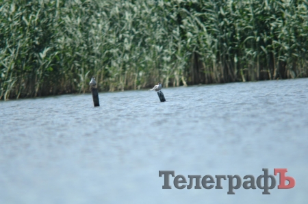 Путешествие со Станиславом Константиновым: сплав по Сухому Кагамлыку