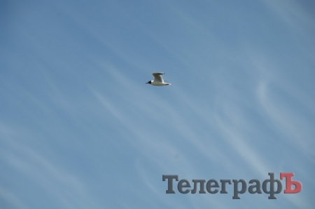 Путешествие со Станиславом Константиновым: сплав по Сухому Кагамлыку