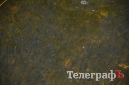 Путешествие со Станиславом Константиновым: сплав по Сухому Кагамлыку