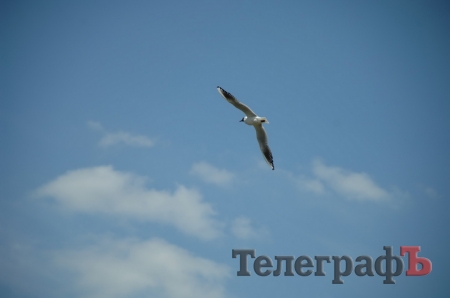 Путешествие со Станиславом Константиновым: сплав по Сухому Кагамлыку