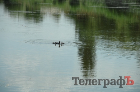 Путешествие со Станиславом Константиновым: сплав по Сухому Кагамлыку