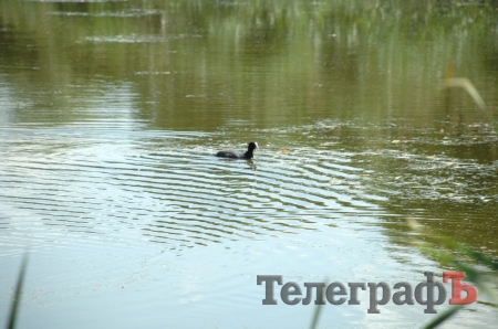 Путешествие со Станиславом Константиновым: сплав по Сухому Кагамлыку