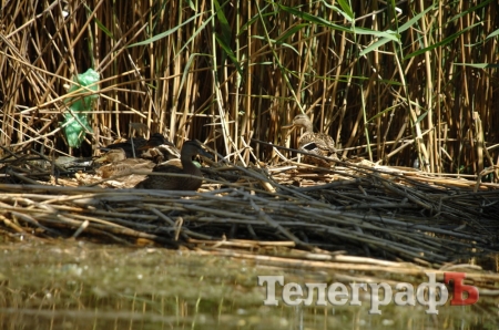 Путешествие со Станиславом Константиновым: сплав по Сухому Кагамлыку