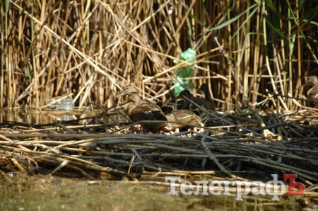 Путешествие со Станиславом Константиновым: сплав по Сухому Кагамлыку