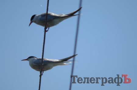 Путешествие со Станиславом Константиновым: сплав по Сухому Кагамлыку