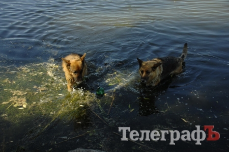Путешествие со Станиславом Константиновым: сплав по Сухому Кагамлыку