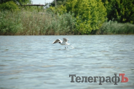 Путешествие со Станиславом Константиновым: сплав по Сухому Кагамлыку