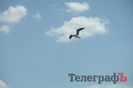 Путешествие со Станиславом Константиновым: сплав по Сухому Кагамлыку