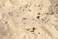 Рейд «Телеграфа» по пляжам города