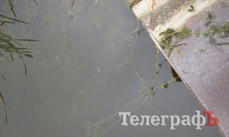 В Кременчуге в Сухом Кагамлыке отравили рыбу