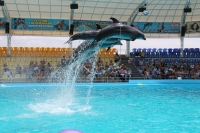 Путешествие с Юрием Глансковым: Одесса