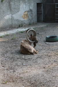 Путешествие с Юрием Глансковым: Одесса