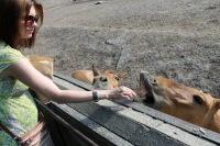 Путешествие с Юрием Глансковым: Одесса