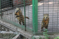 Путешествие с Юрием Глансковым: Одесса