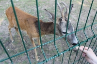 Путешествие с Юрием Глансковым: Одесса