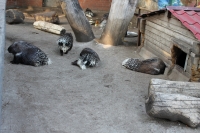 Путешествие с Юрием Глансковым: Одесса