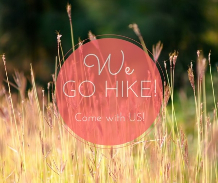 5 липня. Кременчужан кличуть збирати трави