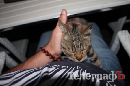 Путешествие с Юрием Глансковым: Одесса