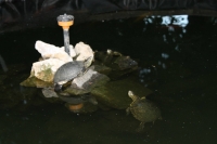 Путешествие с Юрием Глансковым: Одесса