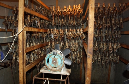 Кременчуцька міліція закрила підпільний рибний цех