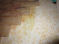 Потопы в квартирах кременчужан: обслуживание жилья не соответствует стандарту