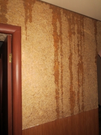 Потопы в квартирах кременчужан: обслуживание жилья не соответствует стандарту