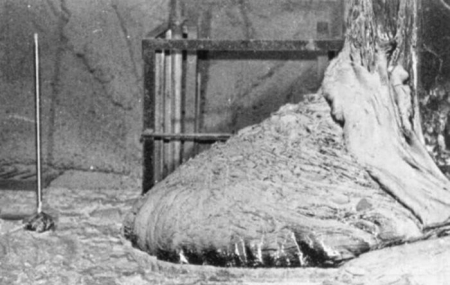 Подборка редких фотографий со всего мира. 1 выпуск Подборка редких фотографий со всего мира. 1 выпуск