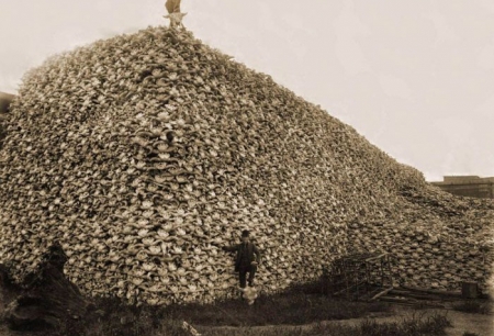 Подборка редких фотографий со всего мира. 1 выпуск Подборка редких фотографий со всего мира. 1 выпуск