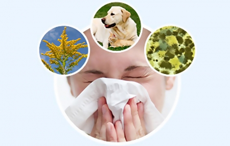 Жизнь в эпоху аллергии