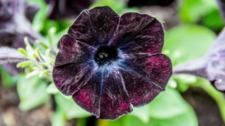 Подборка редких фотографий со всего мира. 2 выпуск